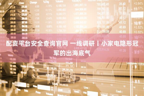配资平台安全查询官网 一线调研丨小家电隐形冠军的出海底气