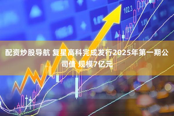配资炒股导航 复星高科完成发行2025年第一期公司债 规模7亿元